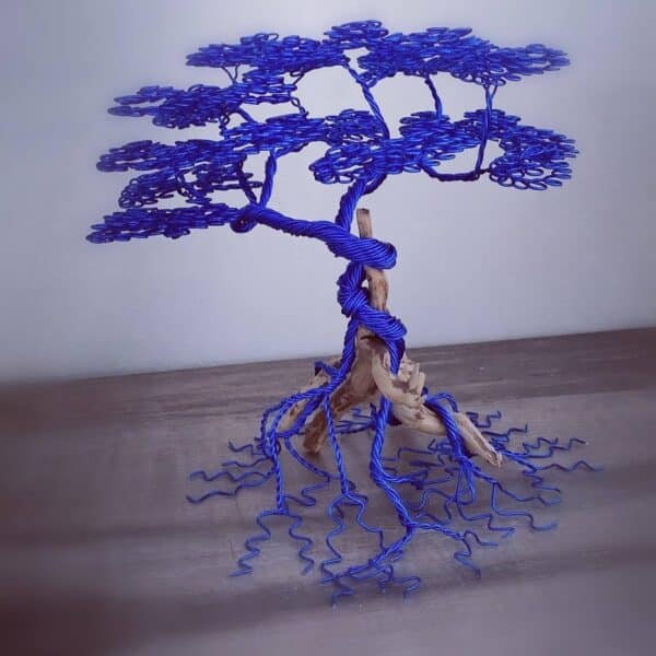 L'Arbre d'Iroise 💧