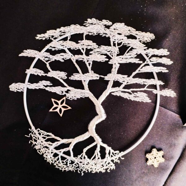 Étoile d'Argent🤍