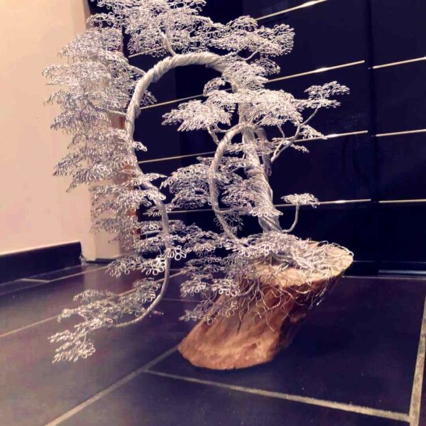 Le Pont des Songes 🌙