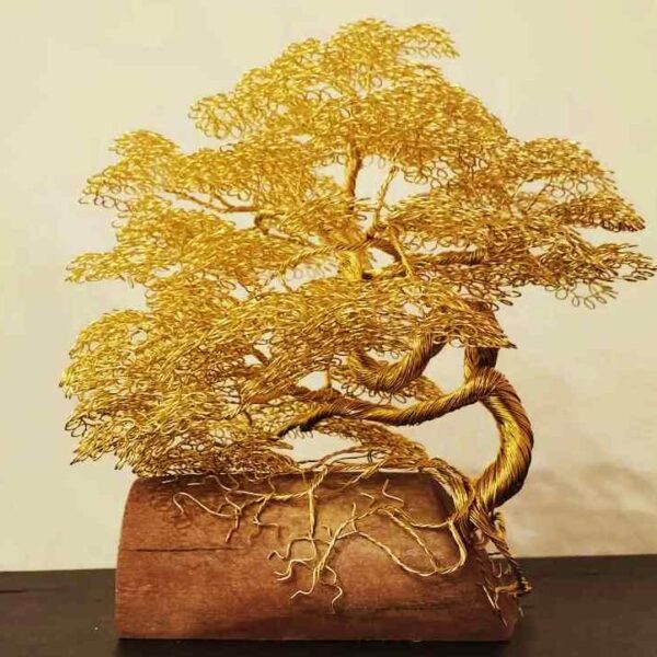 L'Arbre de Midas ✨