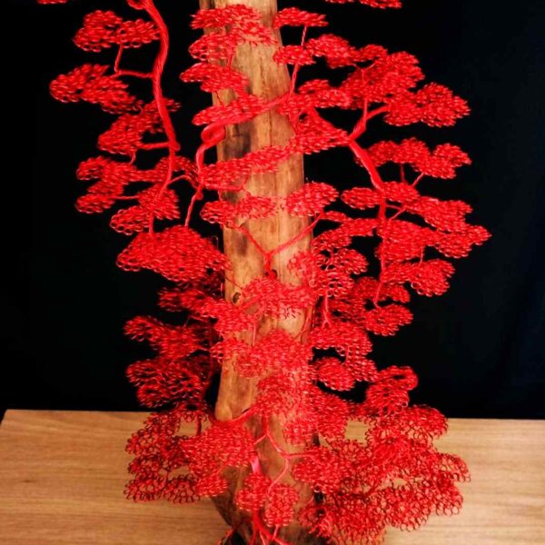 Éclosion de Passion 🐦‍🔥