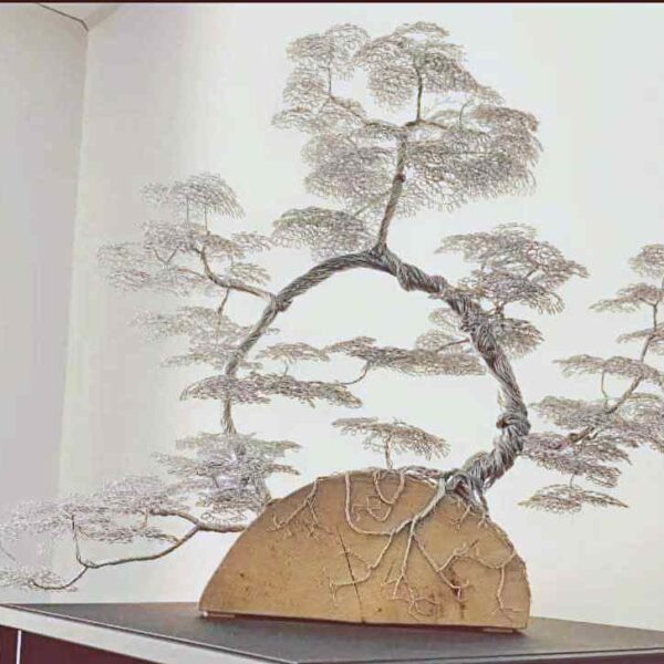 La Première Étincelle 🌱