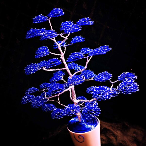 Le Souverain d'Argent 👑