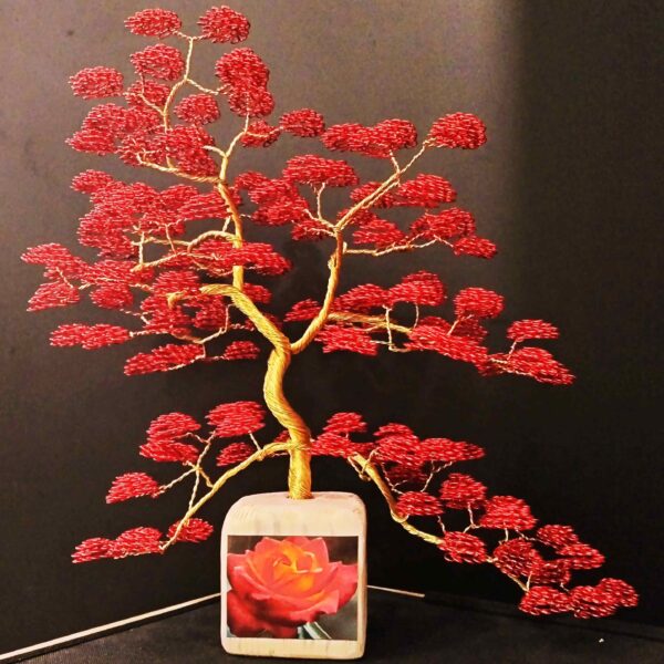 Juste Avant l’Aube 🤍🌿