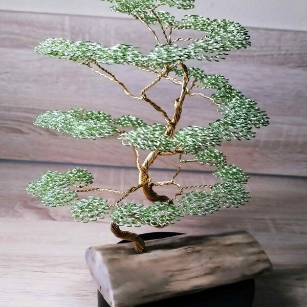 L'Éveil de l'Anis 🌿