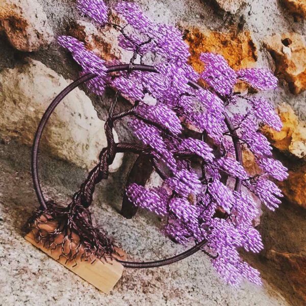 Dans le Creux du Printemps 🌺