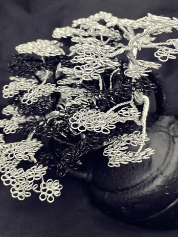 Symbiose de Minuit🖤