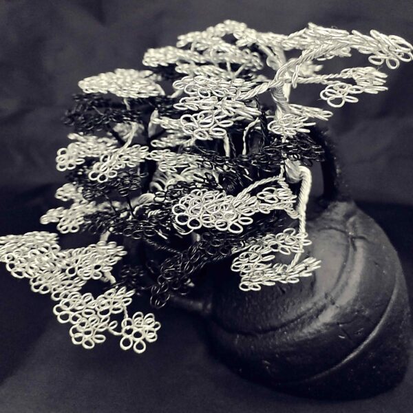 Symbiose de Minuit🖤