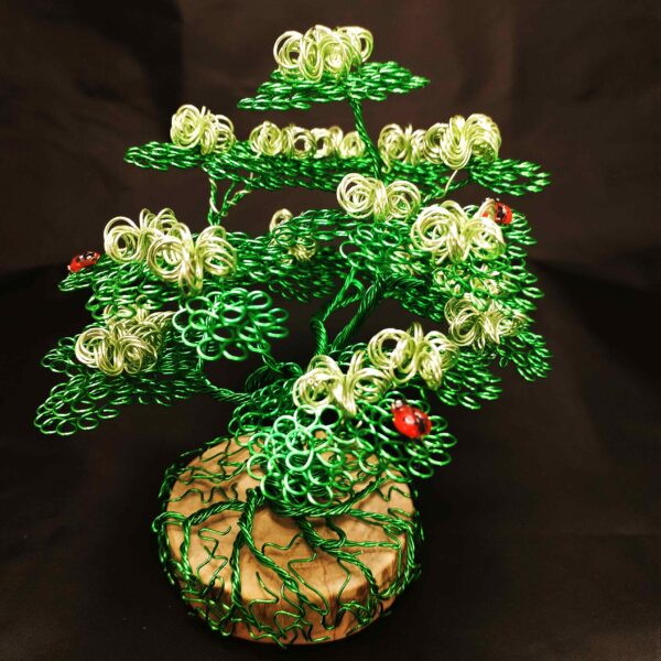 🐞 Le Bal des Coccinelles