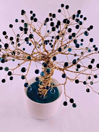 Gardien de Lumière 🔵